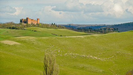 Panorama collinare della Val d'Orcia lungo il percorso ciclistico dell'Eroica. Provincia di Siena....