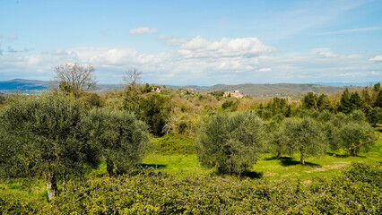 Panorama collinare della Val d'Orcia lungo il percorso ciclistico dell'Eroica. Provincia di Siena. Toscana , Italia