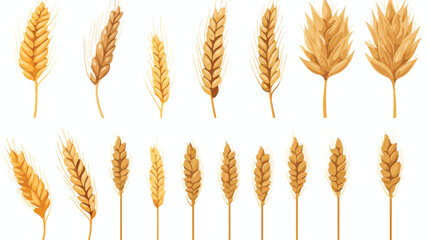 Stylized Wheat Head or Spikes Isolated on White Bac