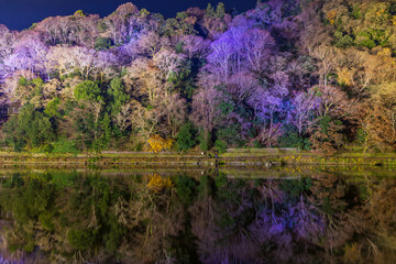 日本の風景　古都京都　嵐山花灯路　嵐峡