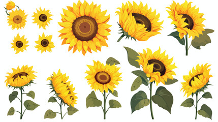 The Set Of Sunflowers With Different Elements And D