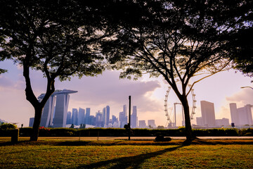 People exercising together in a city park at early evening, Singapore.