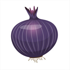 Purple onion vegetable realistic vector illustration. Food art in cartoon design element