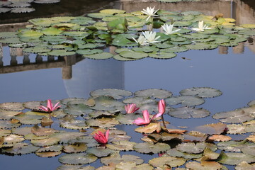 南普佗寺　中国アモイ
