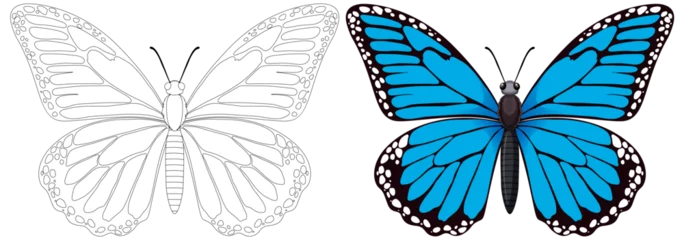 Crédence de cuisine en verre imprimé Enfants Two butterflies, one outlined and one vibrantly colored.
