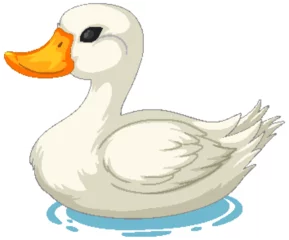 Gordijnen Vector graphic of a duck floating peacefully © GraphicsRF