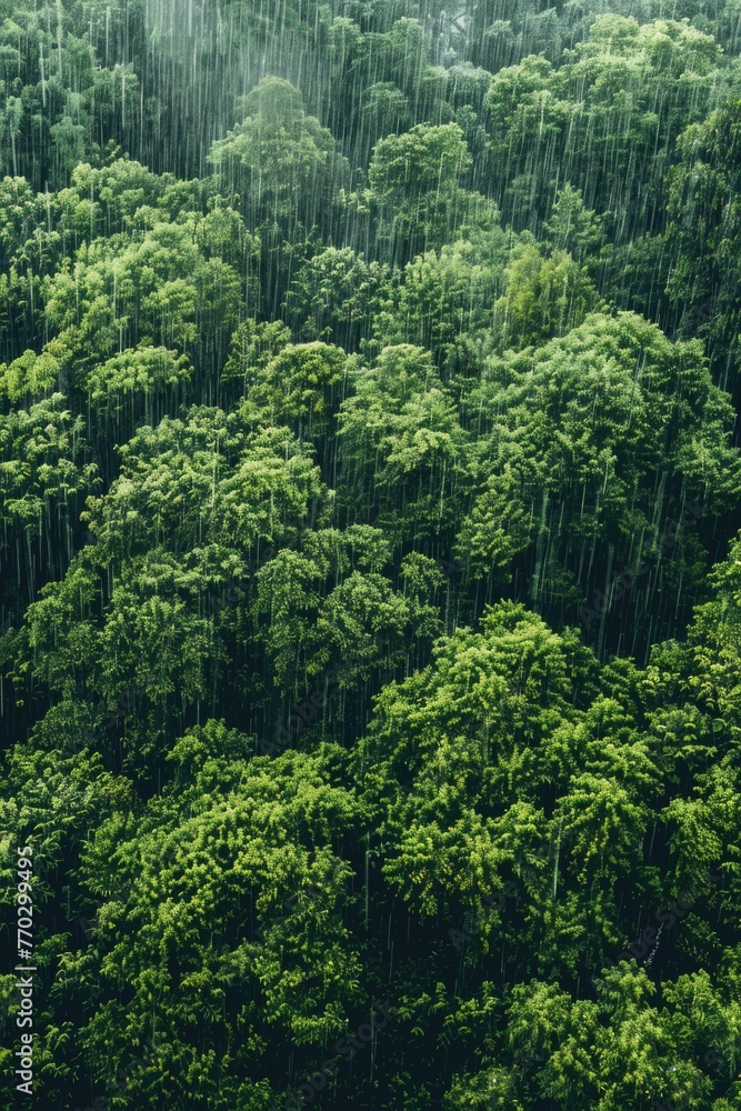 Poster a lush green forest with rain pouring down on it. the trees are tall and dense, creating a sense of 