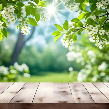 background with planks - Spring beautiful background with green lush young foliage and flowering branches with an empty wooden table on nature outdoors in sunlight in garden.