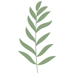 Aesthetic Leaf Element