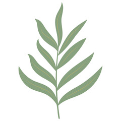 Aesthetic Leaf Element