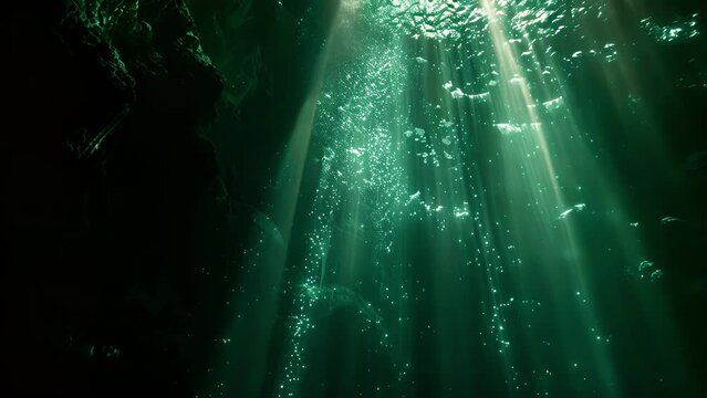A deep dark chasm filled with bioluminescent creatures emitting a soft eerie glow. Light filters down from the surface above casting an otherworldly glow on the mysterious
