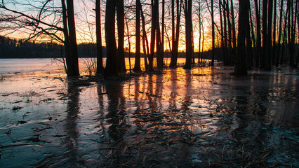 gorgeous sunrise, sunset, flooded lake shore, tree trunks in water and ice, reflections, dark...