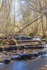 Fototapeta na wymiar Stream with small waterfalls in a budding forest at springtime