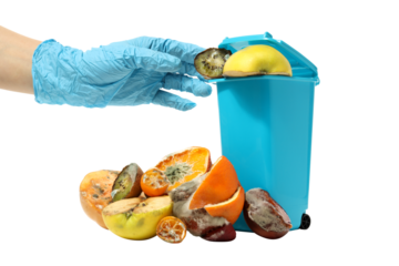 PNG, Spoiled fruit, blue trash can and gloved hand, isolated on white background