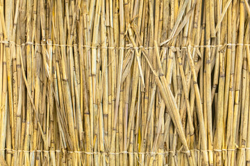 dry reed wall background, close up of bamboo wall texture background