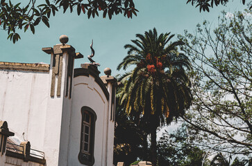 Butantan Institute.