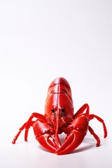 One red lobster on plain white background.