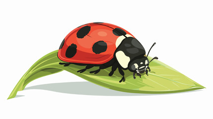 Cartoon ladybug sleeping on leaf flat vector isolated