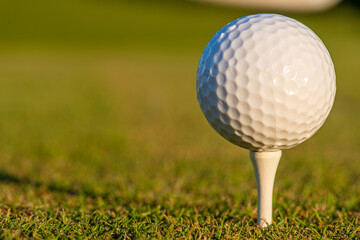 golf ball on the green