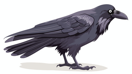 Cartoon raven isolated on white background flat vector