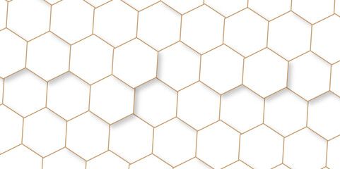 Fototapeta na wymiar Abstract background with hexagons Abstract hexagon polygonal pattern background vector. seamless bright white abstract honeycomb background. 