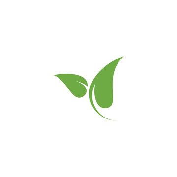 icon with green leaf design vector 