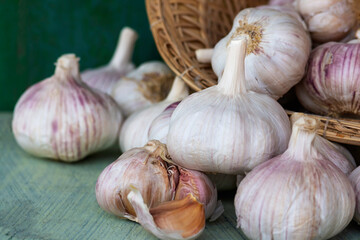 Many garlic bulbs in vintage baskets