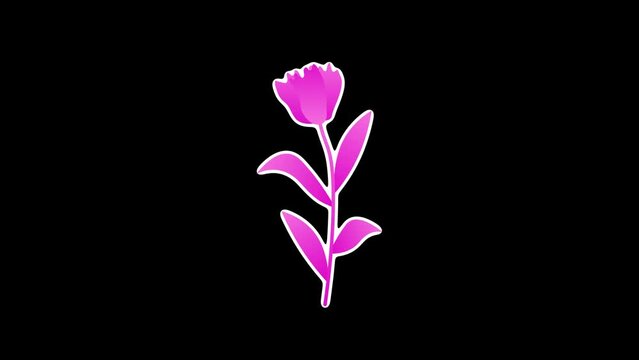 Cartoon flower Elements is a cool-looking motion graphics pack consisting of lyric animations. 4K resolution and alpha channel. cartoon flowers pack with black png background.