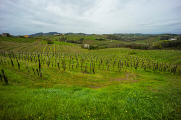 Fototapeta na wymiar Panoramic view of the Collio hills, Cormons, between Gorizia and Nova Gorica. European Capital of Culture 2025. Typical local products vineyards and wines. Spot for picnic on top the hill.