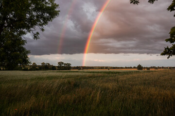 a double rainbow over a grassy meadow surrounded by trees against a summer cloudy sky
