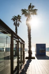 Foto auf Acrylglas Promenade am alten Hafen mit Palmen in Barcelona, Spanien © Robert Poorten