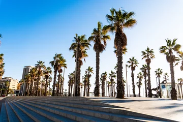 Foto auf Leinwand Promenade am alten Hafen mit Palmen in Barcelona, Spanien © Robert Poorten
