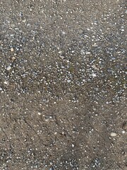 rain drops on the window