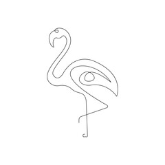 Flamingos vector illustration