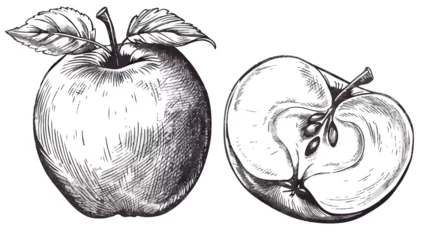 Foto op Plexiglas Apple slice fruit vector. Engraved organic food  © Prince