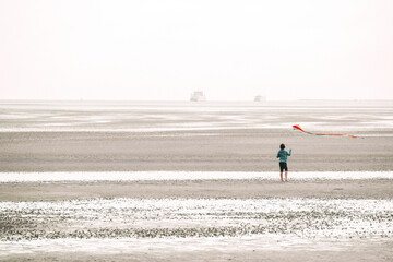 Fototapeta na wymiar Flying kites on the seashore.Sea recreation and vacation.People fly a kite on the seashore on a cloudy day.Frisian Islands.Fer Island.Germany.