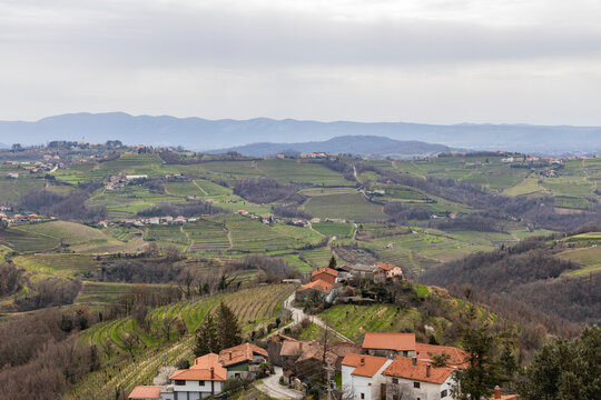Panoramic view of the Collio hills, Cormons, between Gorizia and Nova Gorica. European Capital of Culture 2025. Typical local products vineyards and wines. Gonjače Tower places to visit and tradition