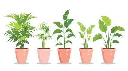 House plant flat vector isolated on a white background - obrazy, fototapety, plakaty