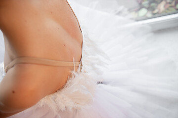 Feathered Ballet Tutu. Close-up view capturing the delicate texture and soft curves of a white...