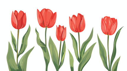 illustration hand drawn red tulip flat vector 