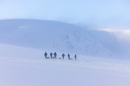 a group of ski touring pull pulkas