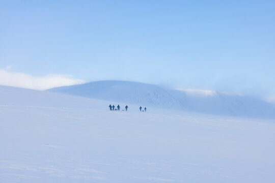 a group of ski touring pull pulkas