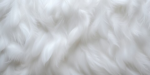 White wool silk feathers background and Texture of fluffy fabric