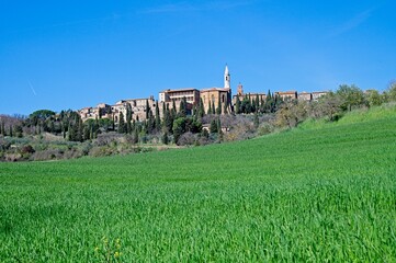 Fototapeta na wymiar Spring in the Hills of Tuscany Italy