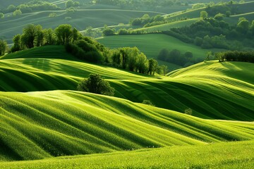 Beautiful landscape in Tuscany, Italy,  Green hills - obrazy, fototapety, plakaty