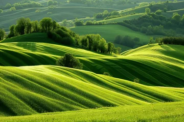 Fotobehang Beautiful landscape in Tuscany, Italy,  Green hills © Nam