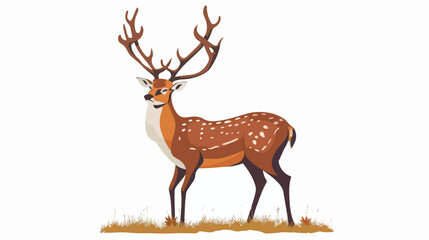 Deer image vector illustration isolated on white background