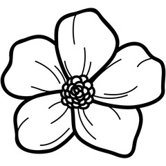 flower doodle sketch vector