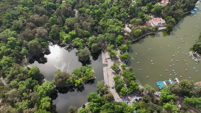 View of Chapultepec forest and its surroundings from above. Mexico City