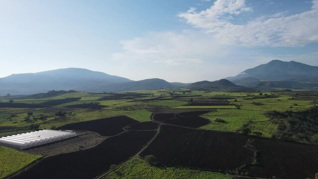 Greenhouses and huge fields of crops in Tepic, Nayarit, Mexico